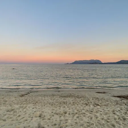 Διαμέρισμα Belvedere 3-2 Giardino E Vista Mare Όλμπια